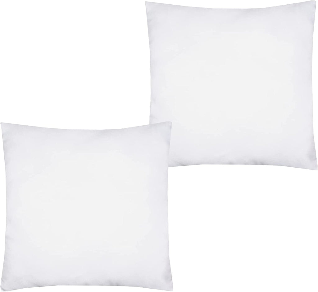 Throw Pillows 20"x20" - 2 Pack Insert Only