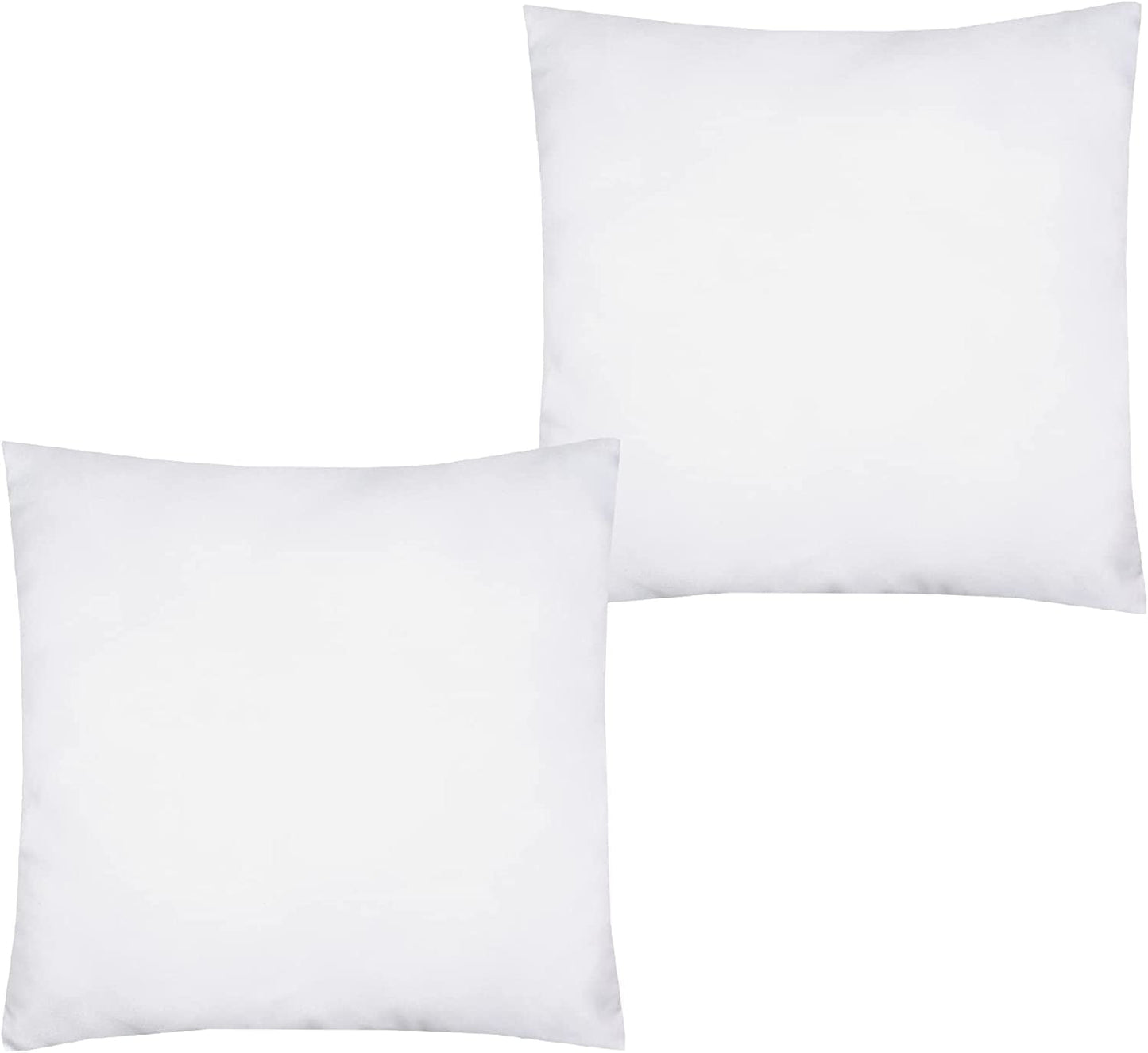 Throw Pillows 20"x20" - 2 Pack Insert Only